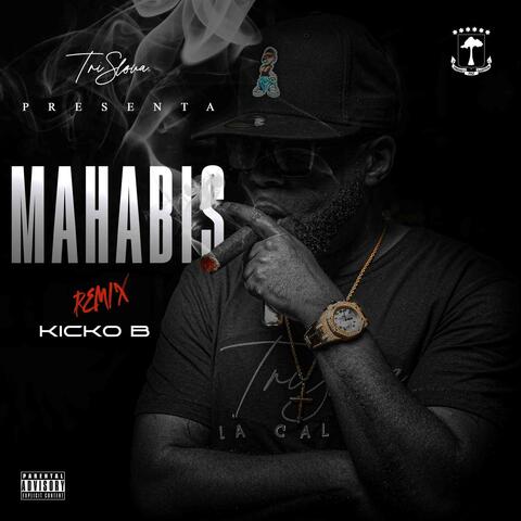 Mahbis (Kicko.B Remix Special Version) album art