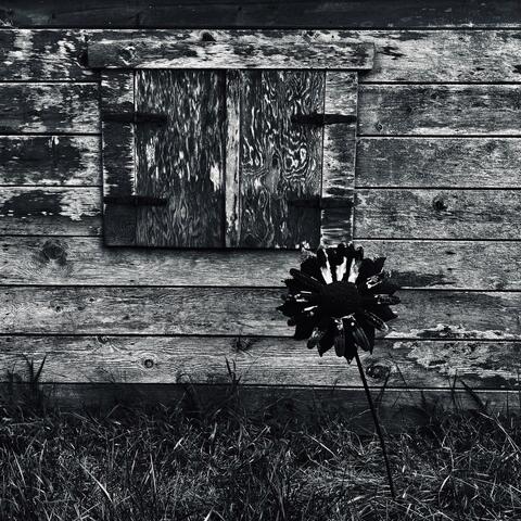 That Old Car (Charlie's Bar) album art