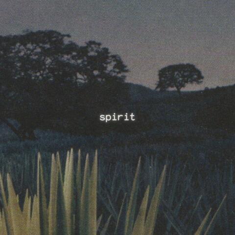 spirit album art