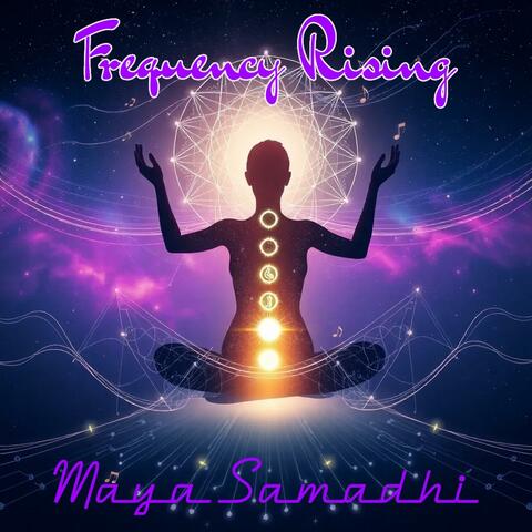 Frequency Rising album art