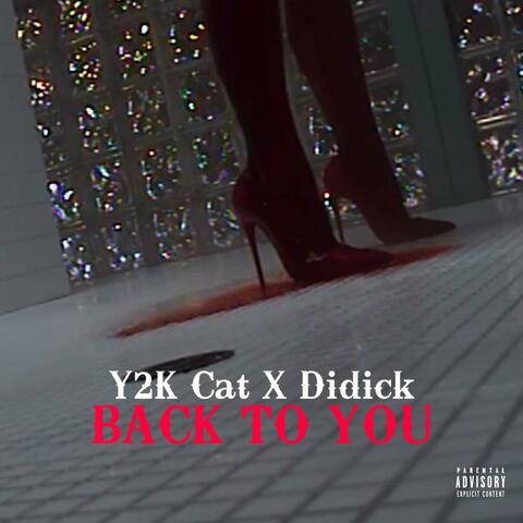 Back To You (feat. Didick) (feat. Didick) album art