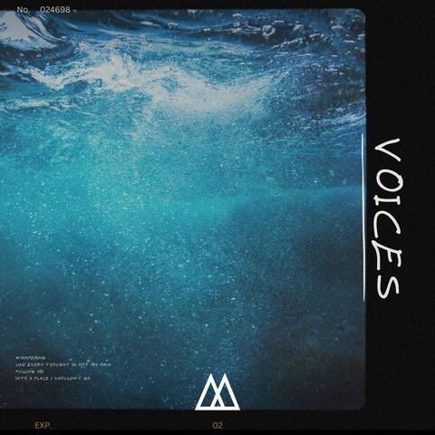 Voices album art
