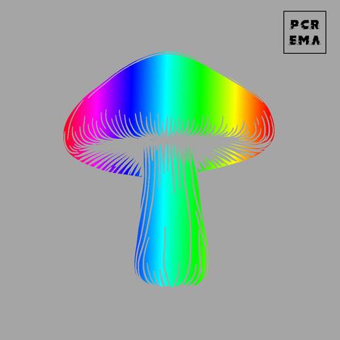 Fungoloid album art