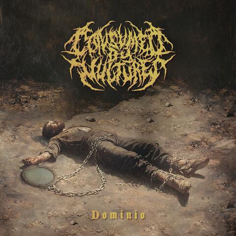 Dominio (Instrumental) album art