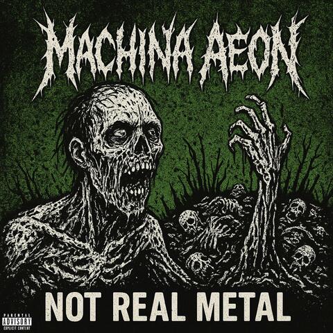 Not Real Metal album art