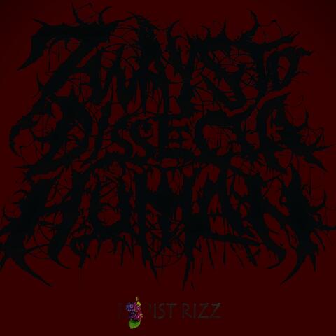 RAPIST RIZZ album art