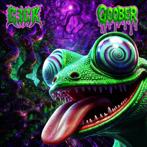 Goober album art