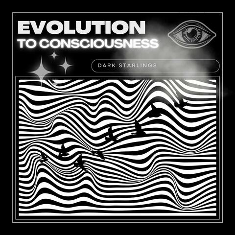 Evolution to Consciousness album art