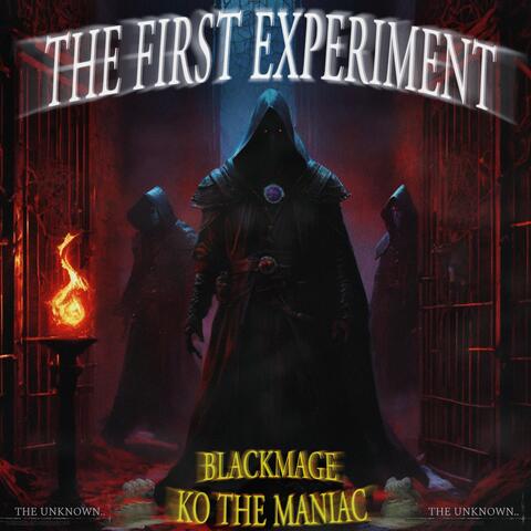 The First Experiment (Burn to Pieces) (feat. KO The Maniac) album art