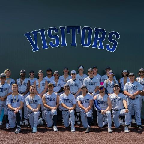 The Visitors album art