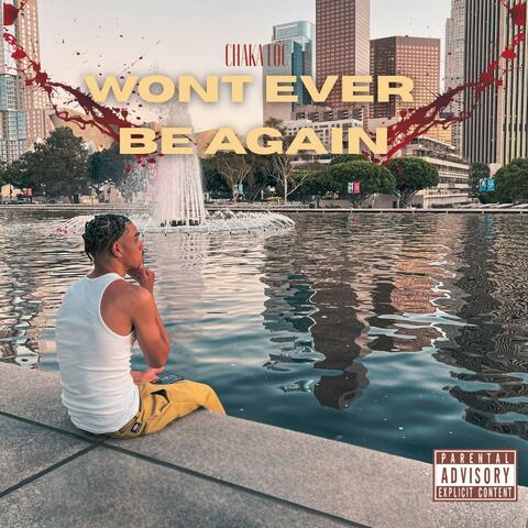 Won't Ever Be Again album art