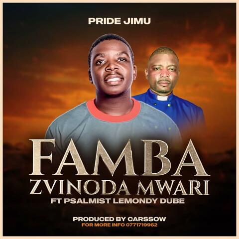 Famba zvinoda Mwari (feat. Pride Jimu) album art