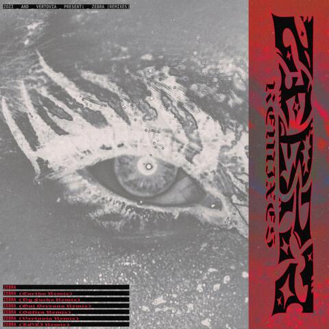ZEBRA REMIXES album art