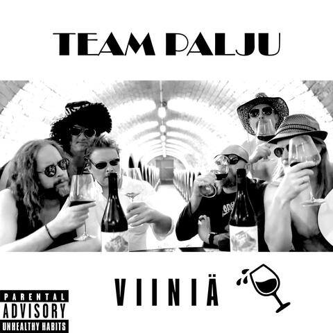 Viiniä album art