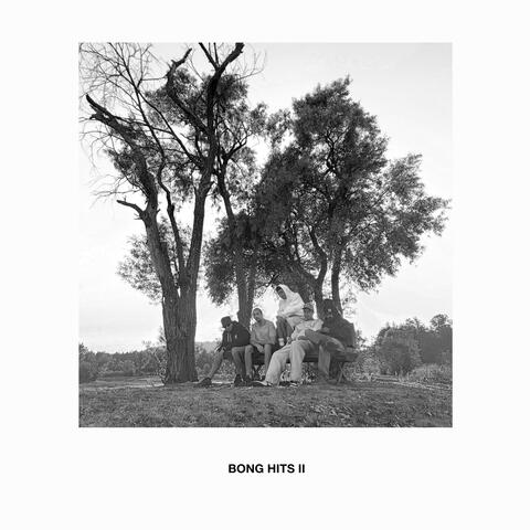 Bong Hits II album art
