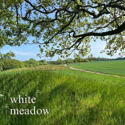 white meadow album art