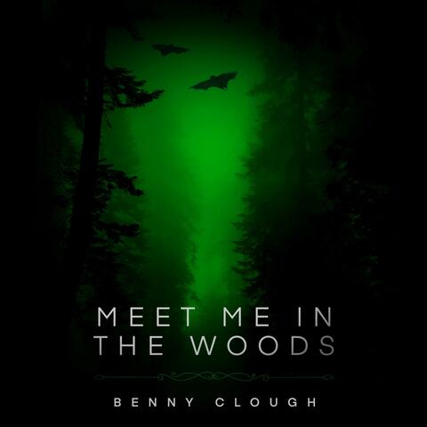 Meet Me In The Woods album art