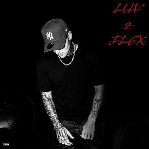 LUV2FLEX album art