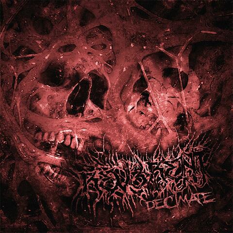 Decimate album art