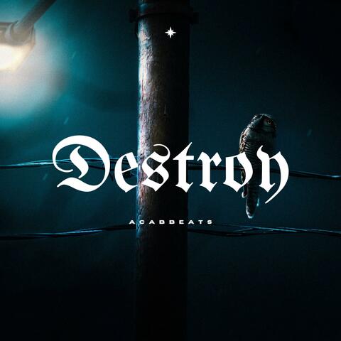Destroy album art