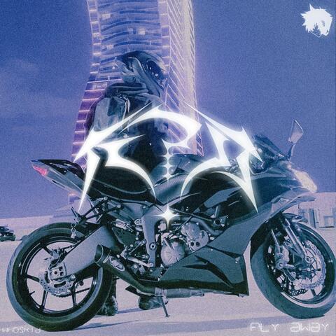 fly away album art