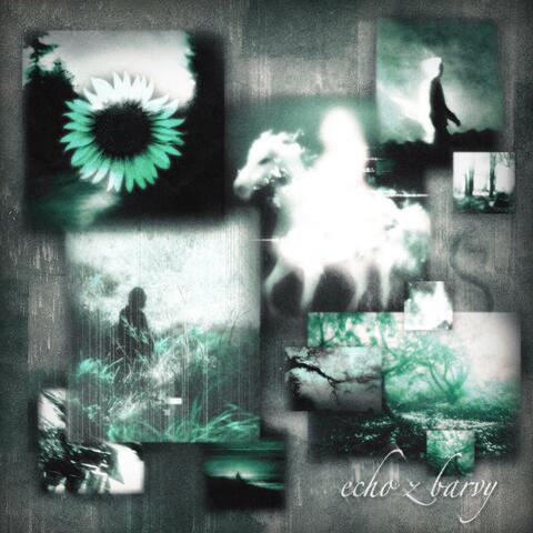 ECHO z BARVY album art