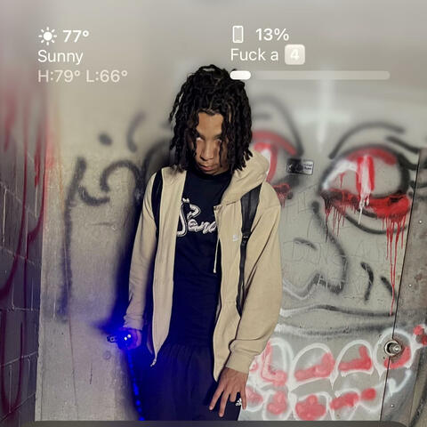 Fully drake album art
