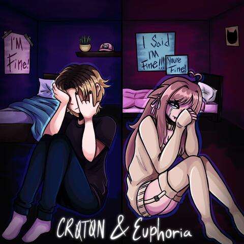 IM FINE album art