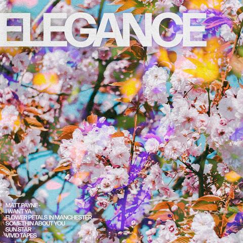 Elegance album art