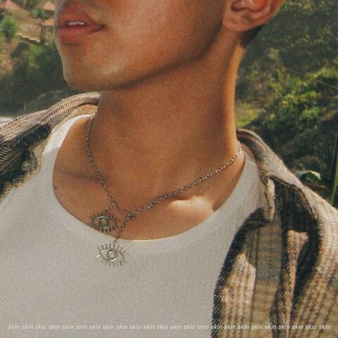 Skin album art