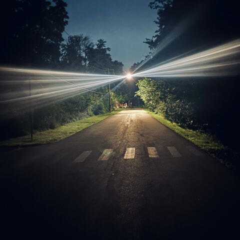 Delusions album art