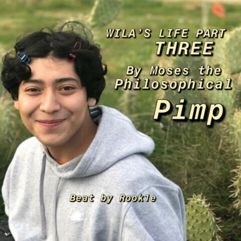 Wilas life Pt. 3 album art