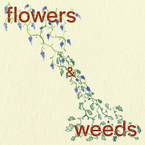 Flowers & Weeds album art