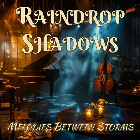 Raindrop Shadows (Melodies Between Storms) album art