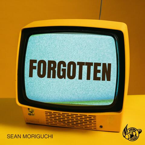 Forgotten album art