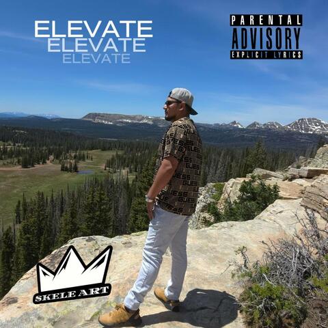 Elevate album art