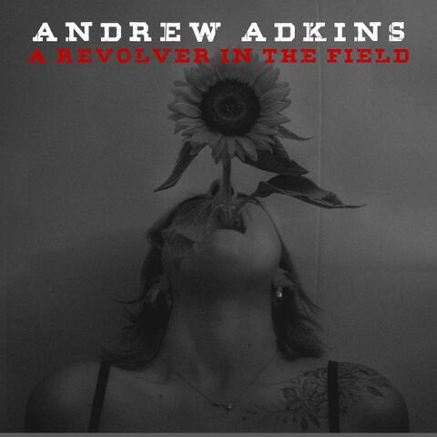 A Revolver In The Field album art