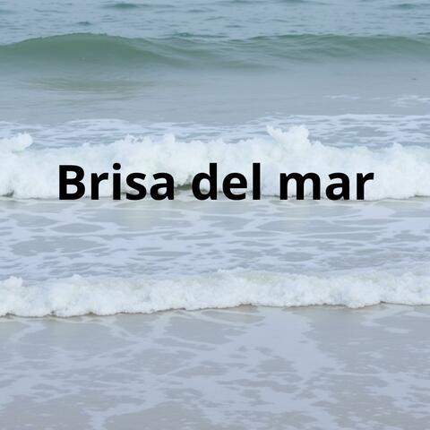 Brisa del mar album art