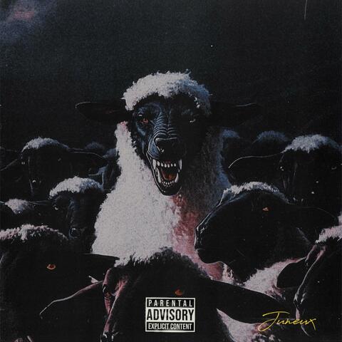 To Live and Die in Miami album art