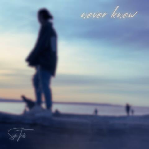 Never Knew album art