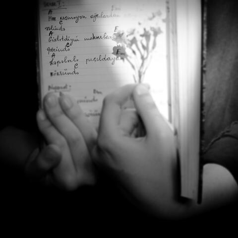 Gizlətdiyim Mahnılar album art