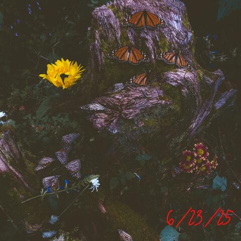 Deceitful Lover album art