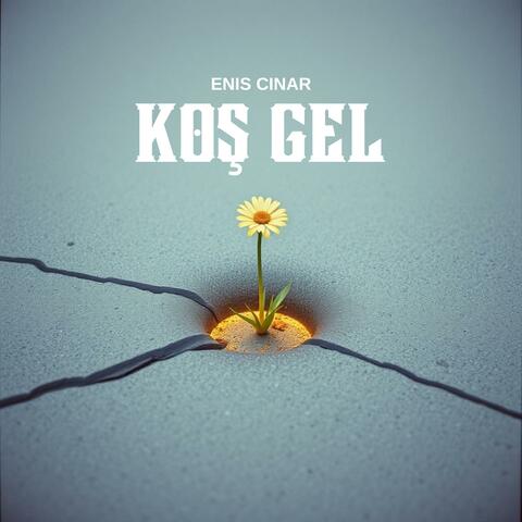 Koş Gel album art