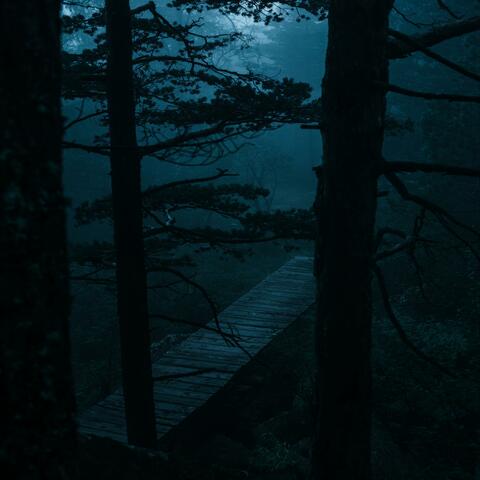 Dreary Lake album art