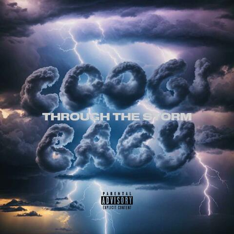 Through The Storm album art