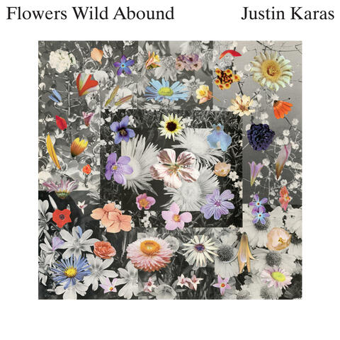 Flowers Wild Abound album art