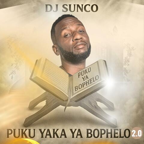PUKU YAKA YA BOPHELO 2.0 album art