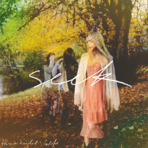 Seek album art