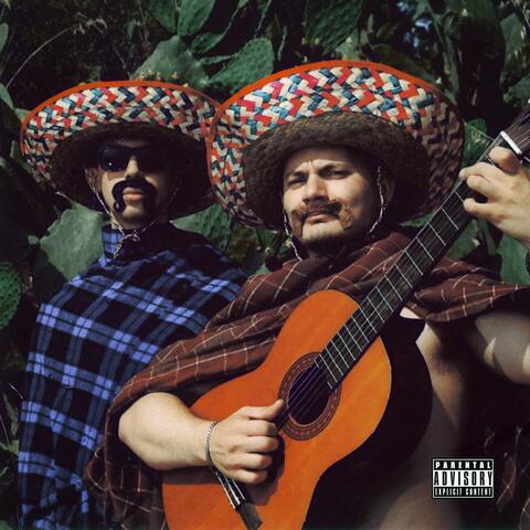 NON MI PIACI (feat. Darrews) album art