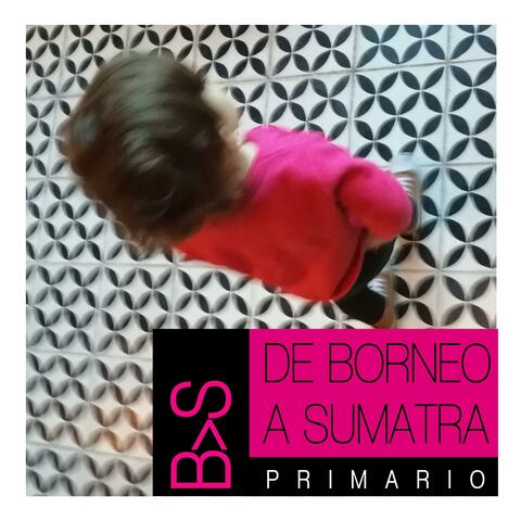 Primario album art